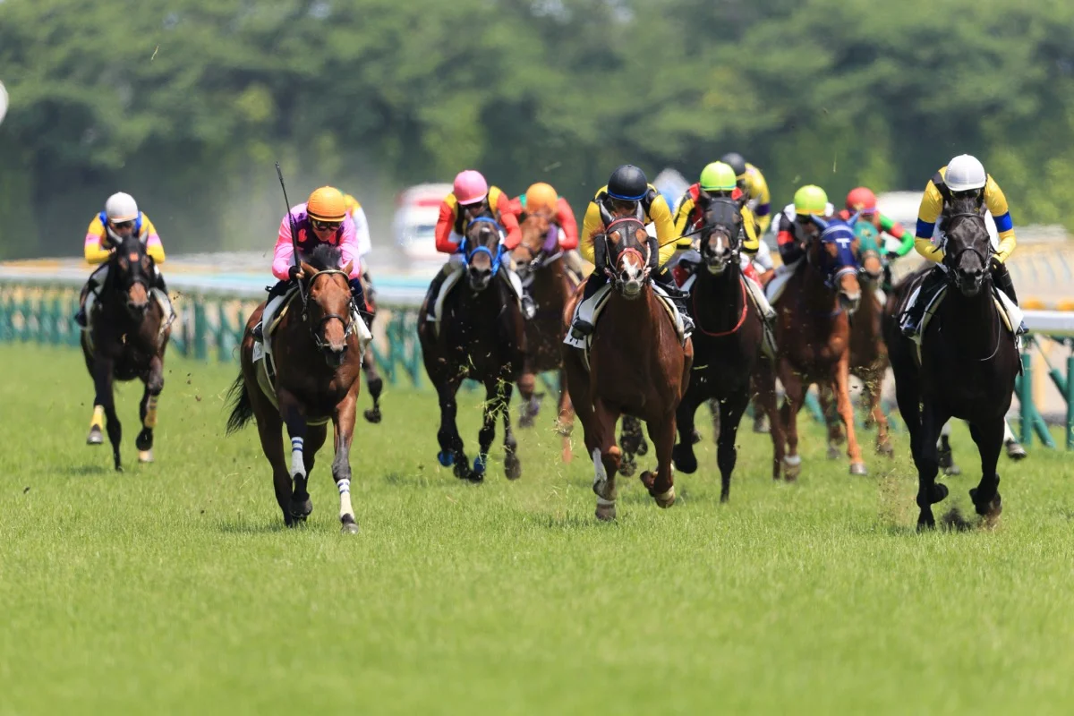 競馬レースの写真